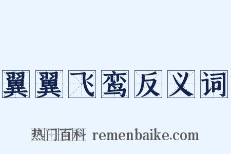 翼翼飞鸾反义词是什么意思的图片